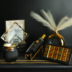 עיצוב דגם #219